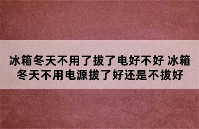 冰箱冬天不用了拔了电好不好 冰箱冬天不用电源拔了好还是不拔好